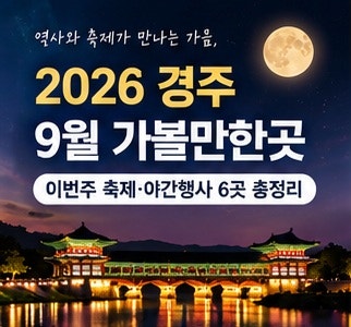 2026년 9월 경주 가볼만한곳 이번주 경주 축제 야간행사 6곳 총정리