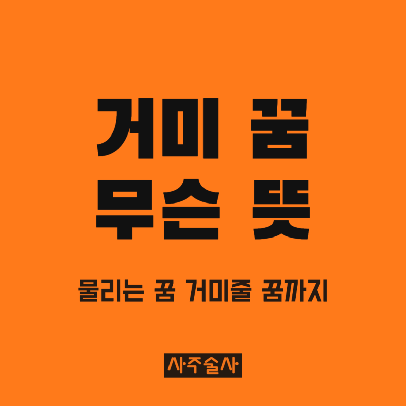 거미 꿈해몽, 물리는 꿈 죽이는 꿈 거미줄 꿈까지 상황별 뜻