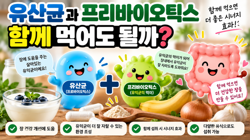 유산균과 프리바이오틱스 차이, 장 건강을 위해 무엇을 먹어야 할까?