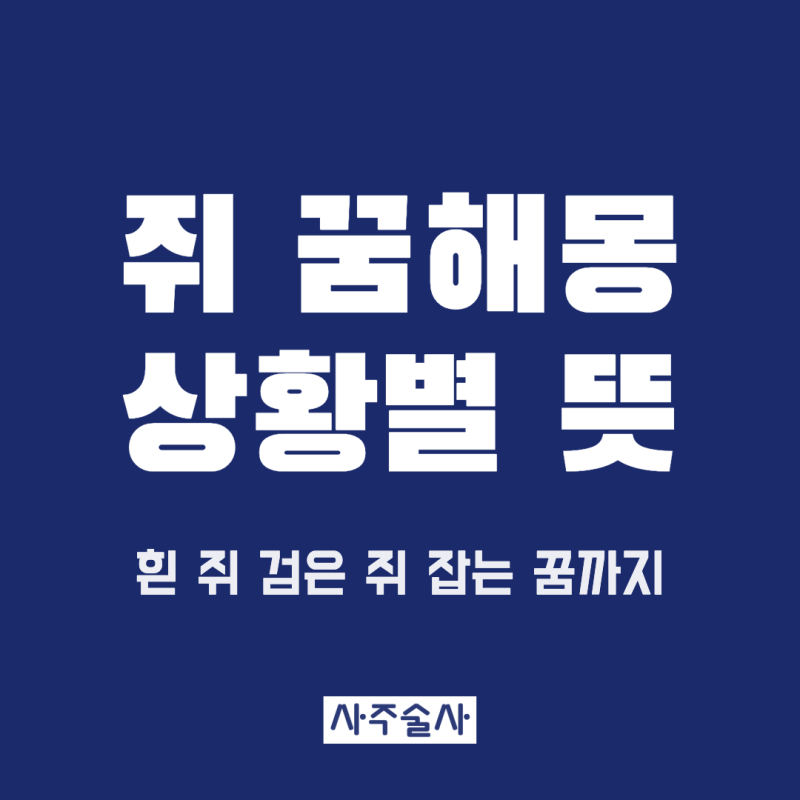 쥐 꿈해몽, 흰 쥐 검은 쥐 쥐 잡는 꿈까지 상황별 재물운 뜻