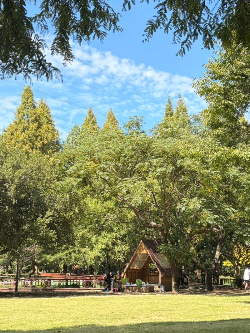 Places to Visit in Jinju: Gyeongnam Arboretum, Perfect for an Outing with Babies