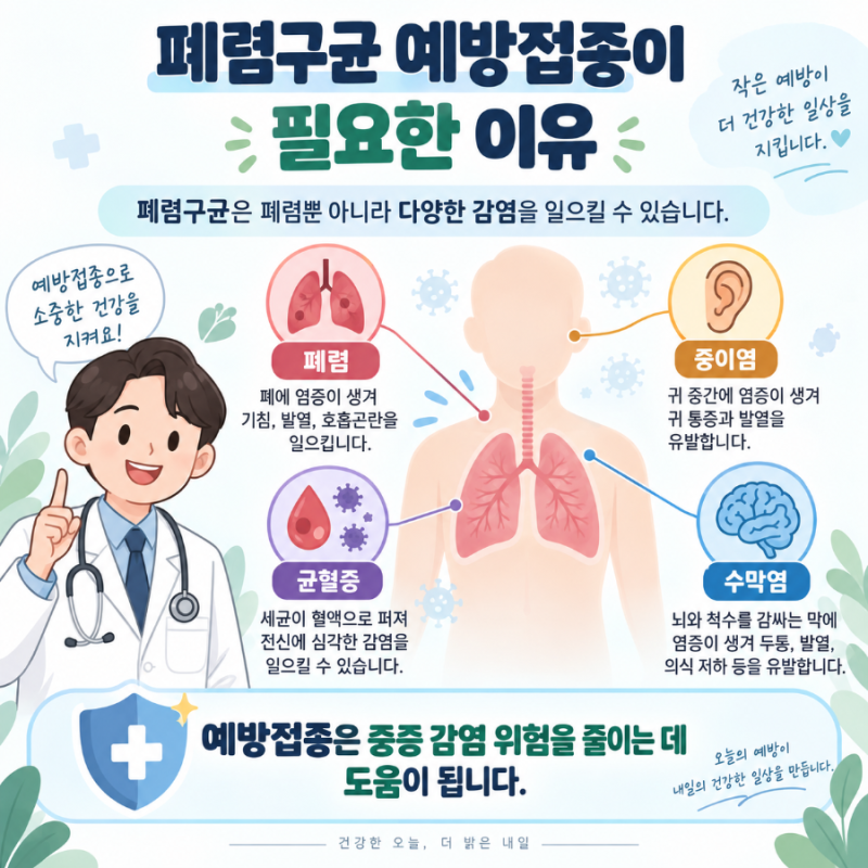 [폐렴구균 예방접종] 65세 이상 무료접종 대상, 나이, 백신 종류, 접종 횟수, 간격, 부작용 등 ....