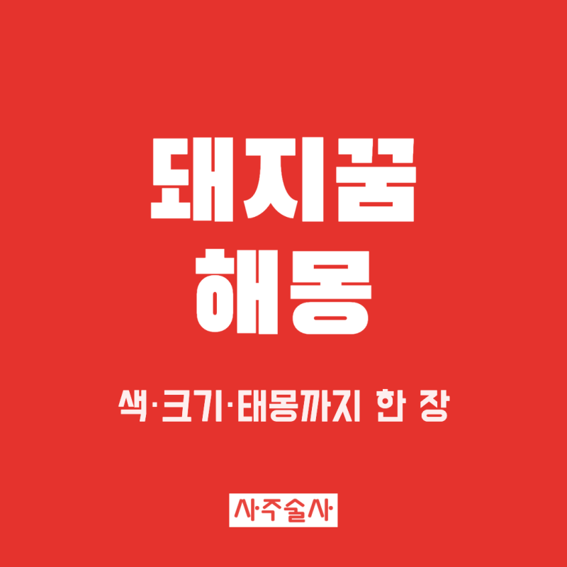 돼지꿈 해몽, 돼지가 집에 들어오는 꿈부터 새끼 돼지까지 뜻 정리