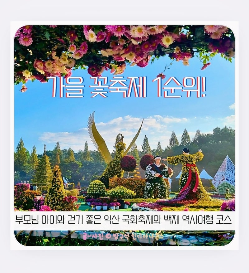 가을 당일치기 가족여행 추천! 천만 송이 국화 향기와 백제 세계유산이 만난 익산 가을 축제 ....