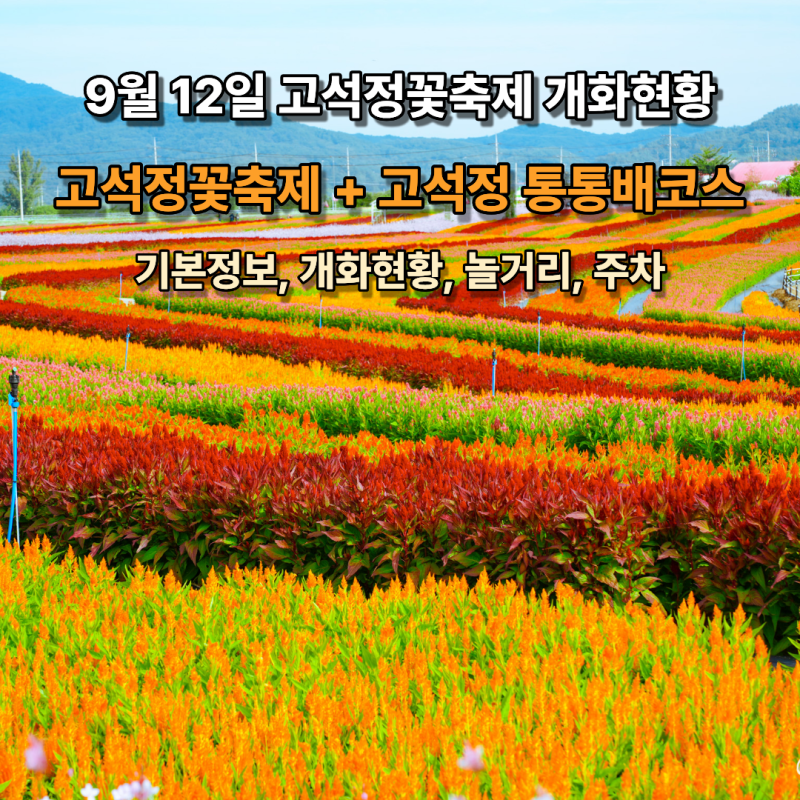 철원가볼만한곳 2026 가을 철원 고석정 꽃축제 일정 개화현황 주차