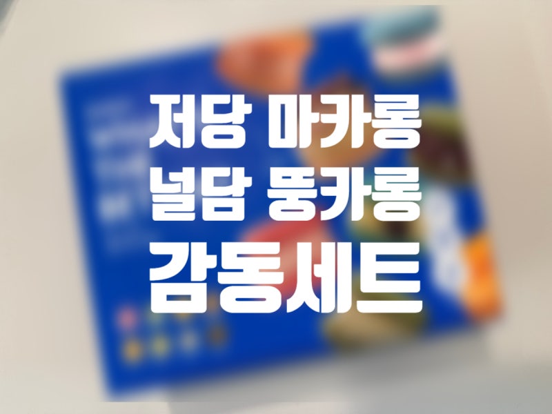 널담 마카롱 감동세트 후기｜비마트 할인 8개 8,900원, 냉동실 쟁여두기 좋은 디저트 뚱카롱