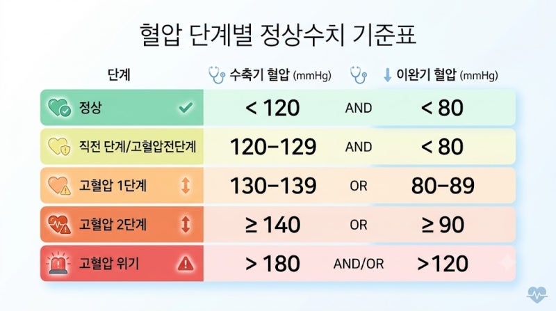 잴 때마다 다른 혈압 정상수치 기준표와 올바른 측정법 총정리