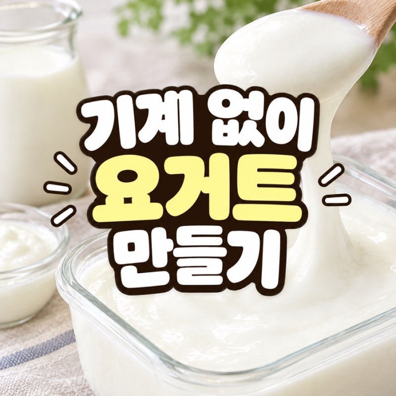 집에서 요거트 만드는 방법 | 카스피해 요거트 | 플레인 요거트 다이어트 효과