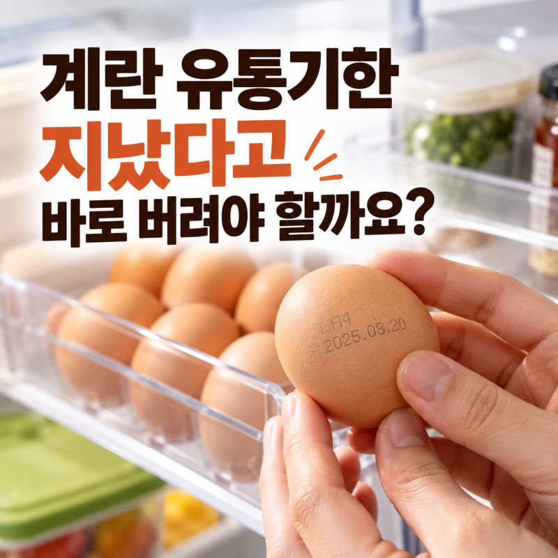 계란 유통기한 소비기한, 냉장고에 오래 둔거 먹어도 될까?