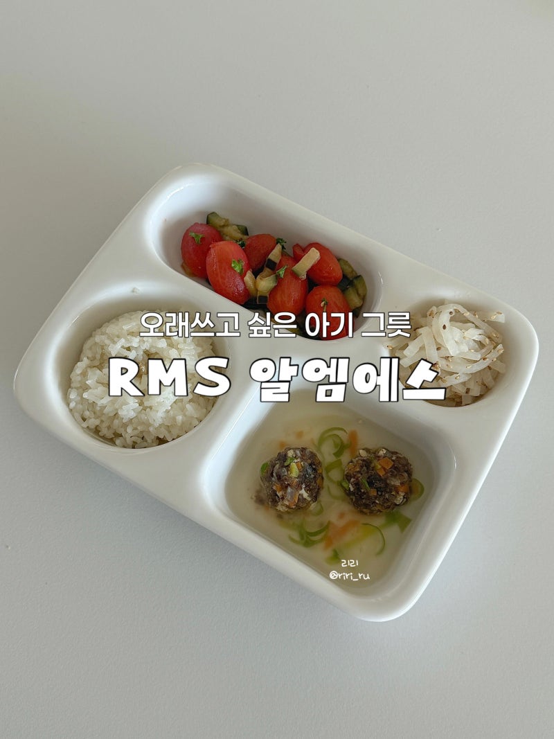 알엠에스 RMS 도자기 그릇 내돈내산 아기 유아식 예쁘게 담아내기 아기 그릇 추천