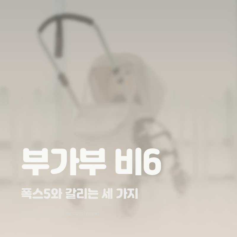 부가부 비6 살 때 먼저 볼 것, 보증 4년과 배시넷 월령