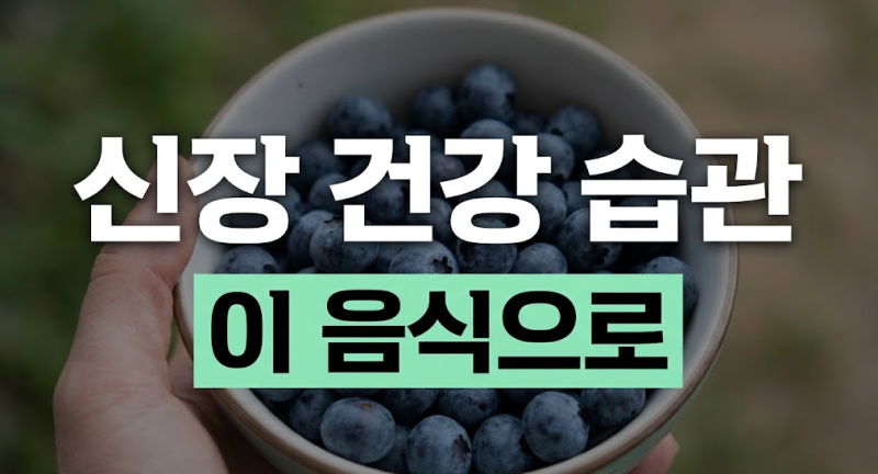 신장에 좋은 음식 나쁜 음식, 기능 저하를 막는 식단 관리 핵심 기준