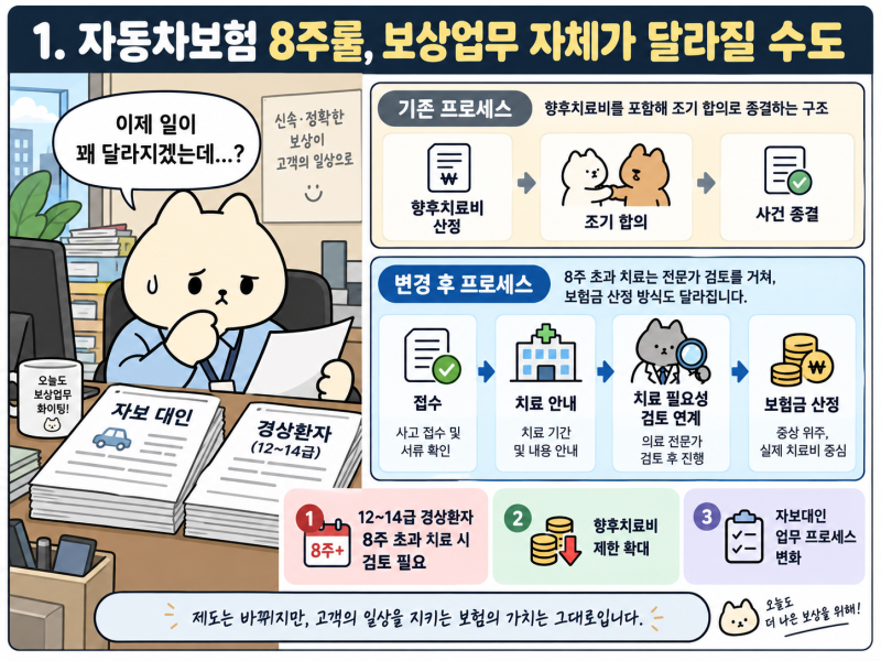 보험사 취업｜보상직군 급감? 8주룰과 손해사정사의 불투명한 미래