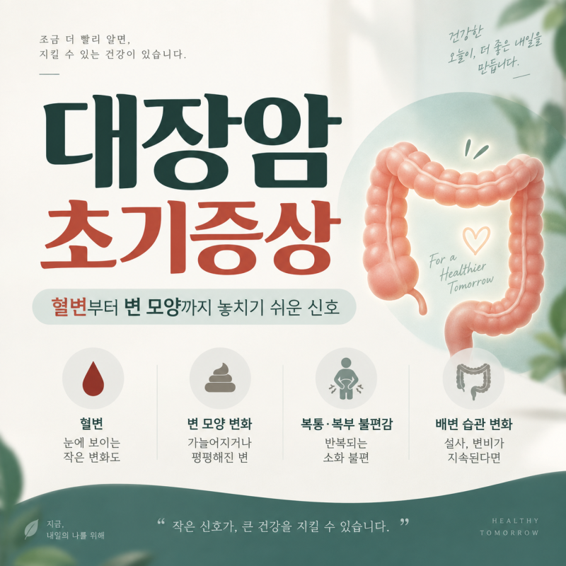 대장암 초기증상 혈변부터 변 모양까지 놓치기 쉬운 신호