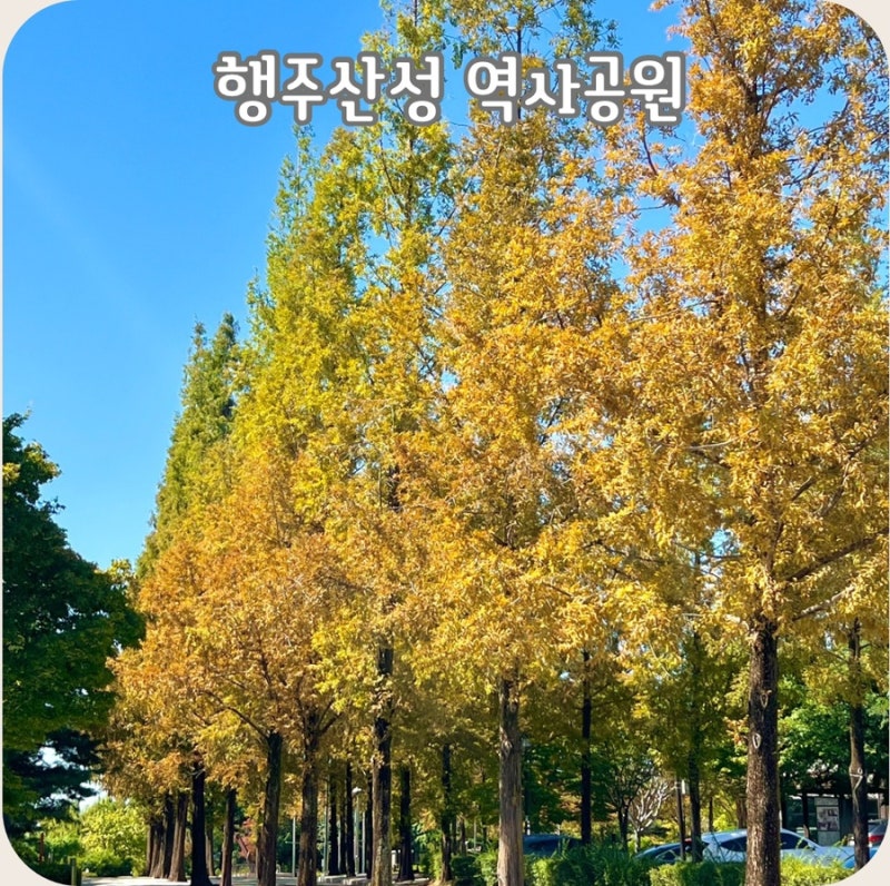 고양 행주산성 역사공원 둘레길 피크닉하기 좋은 한강