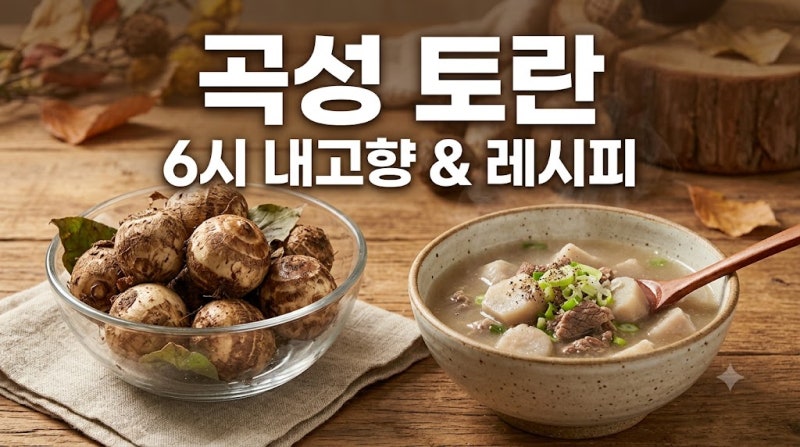 6시 내고향 곡성 토란 구매처 택배 주문 방법 및 아린맛 없애는 맛있는 레시피 3가지
