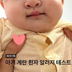 아기 계란 흰자 알러지테스트 침독일까 피부염일까 경험담