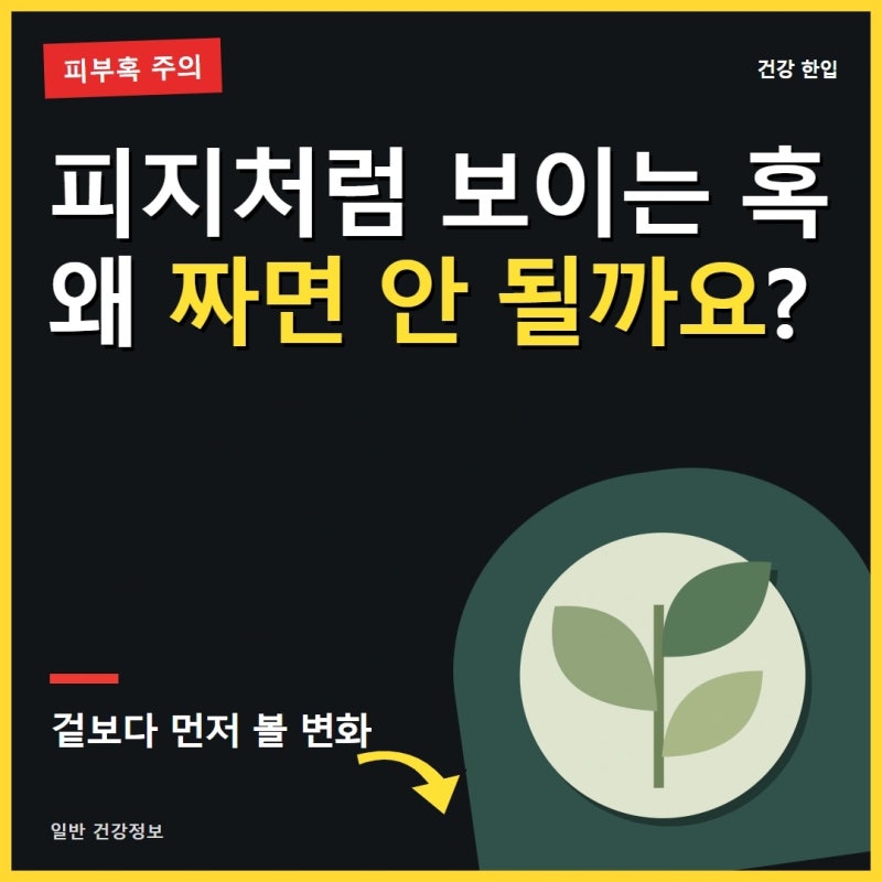 표피낭종과 피부혹, 피지처럼 짜면 더 위험할 수 있습니다