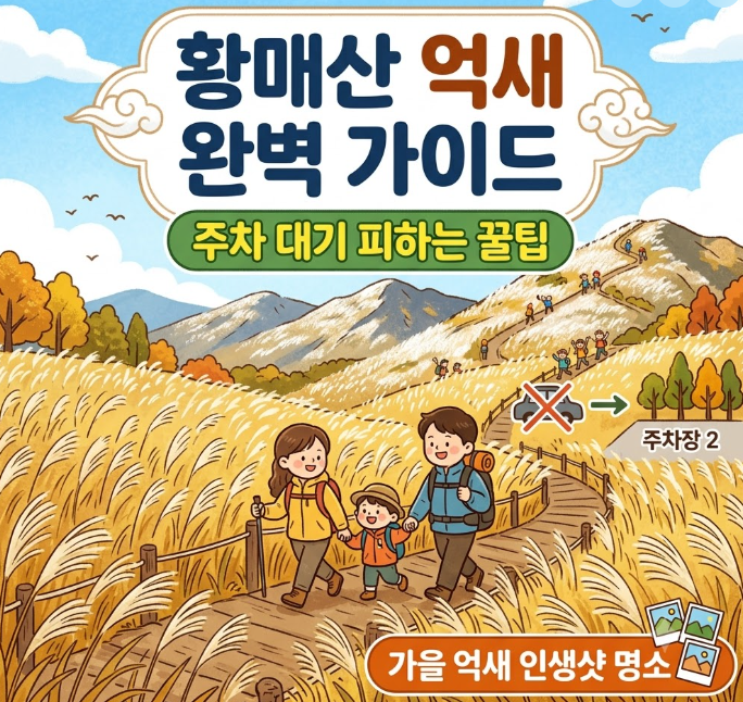 황매산 억새 축제 가기 전 꼭 알아야 할 3가지｜주차 대기 피하는 현실적인 방법