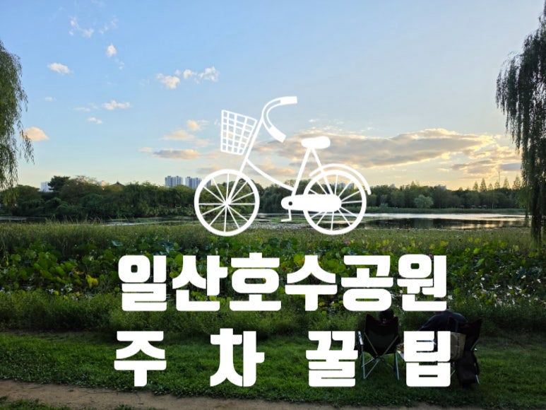 일산호수공원 주차장 요금 및 만차 시 꿀팁