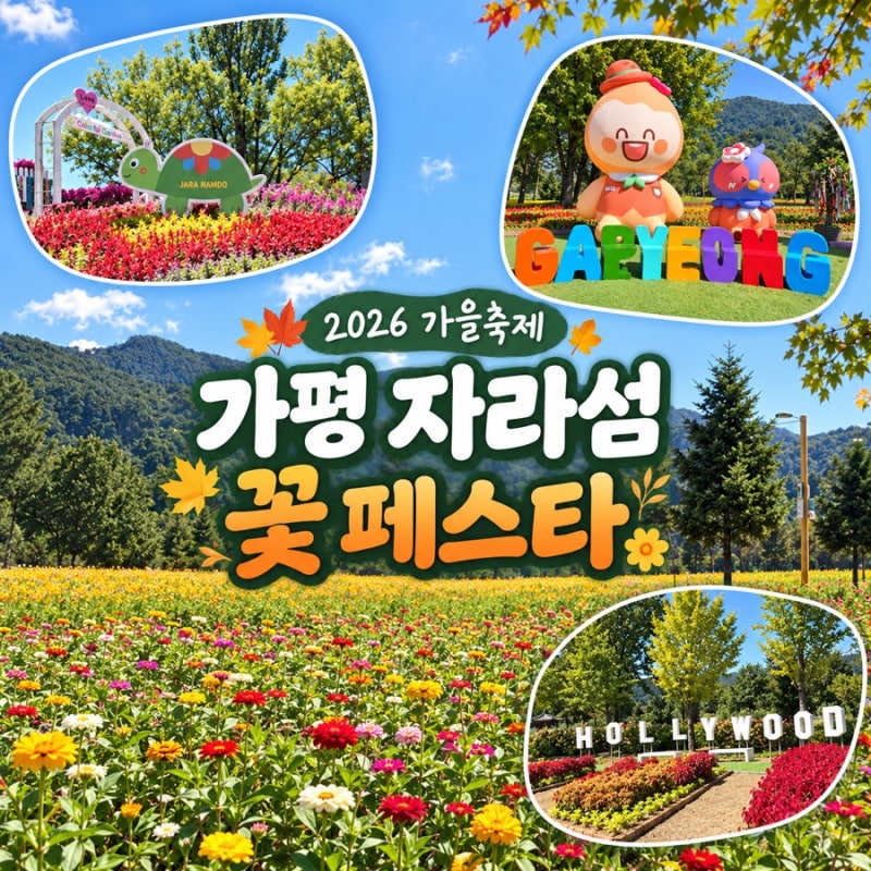 2026 가평 자라섬 꽃 페스타 가을축제 아이랑 가볼만한곳 주차 입장료 흥뻐스 시간