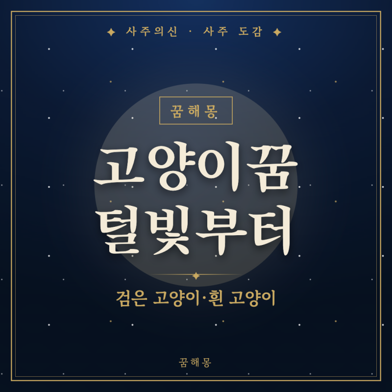고양이꿈 해몽, 눈이 마주친 그 장면부터 털빛과 몸짓으로 읽기
