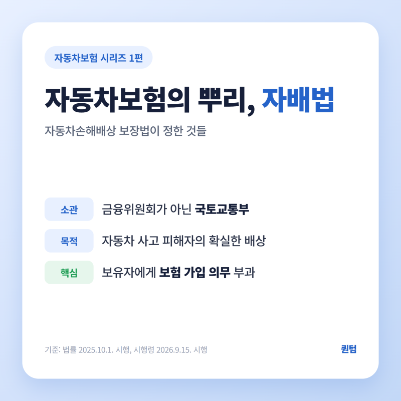자동차손해배상보장법 총정리, 자동차보험은 왜 의무일까 ??