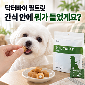 닥터바이 필트릿, 강아지 약 먹이기 힘들 때 이렇게 감춰요