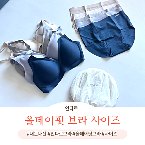 안다르 올데이핏 브라 팬티 사이즈 추천 출산후속옷 내돈내산, 속옷파우치
