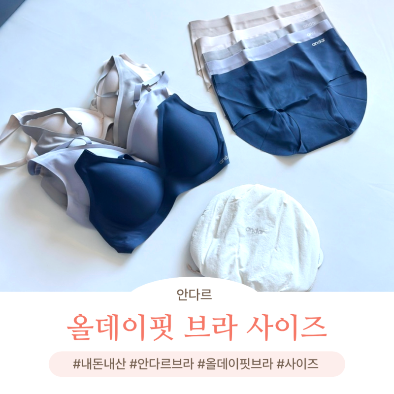 안다르 올데이핏 브라 팬티 사이즈 추천 출산후속옷 내돈내산, 속옷파우치