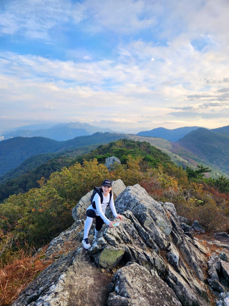 부산 승학산 억새 등산코스 당리 억새군락지 10월산행 가을등산