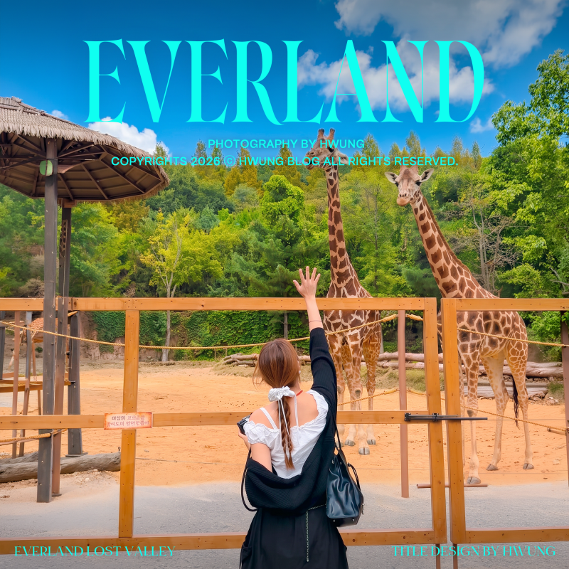 용인 에버랜드 로스트벨리 워킹사파리(와일드 사바나 익스펜션) 예약 안해도 됨