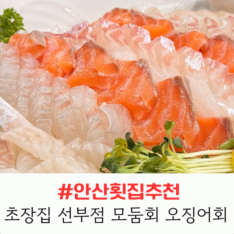 안산 횟집 초장집 선부점, 모둠회(참돔, 연어, 광어) 부터 산오징어회·계란찜까지 푸짐하게
