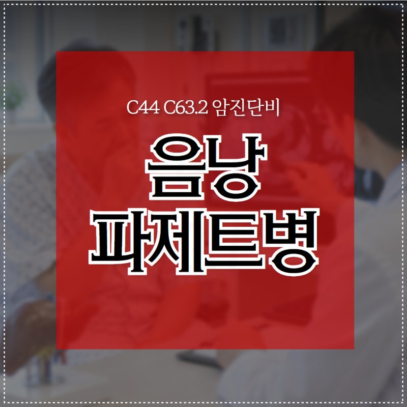 음낭 파제트병 C44 C63.2 암진단비 보험금 피부암 분류만 적용할 수 있을까요