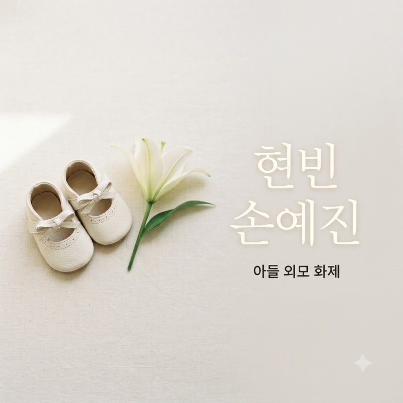 현빈 손예진 아들 외모 화제 배우 안 하기 힘든 비주얼 비하인드