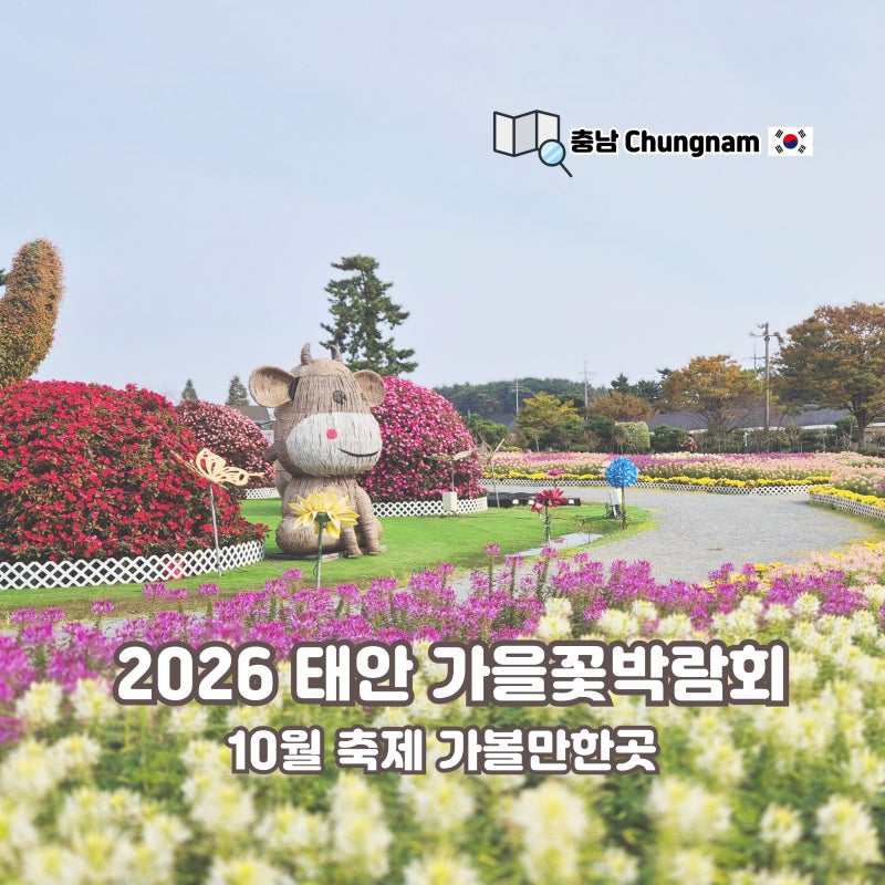 10월 축제 가을꽃 보러 떠나기 좋은 2026 태안 가을꽃박람회
