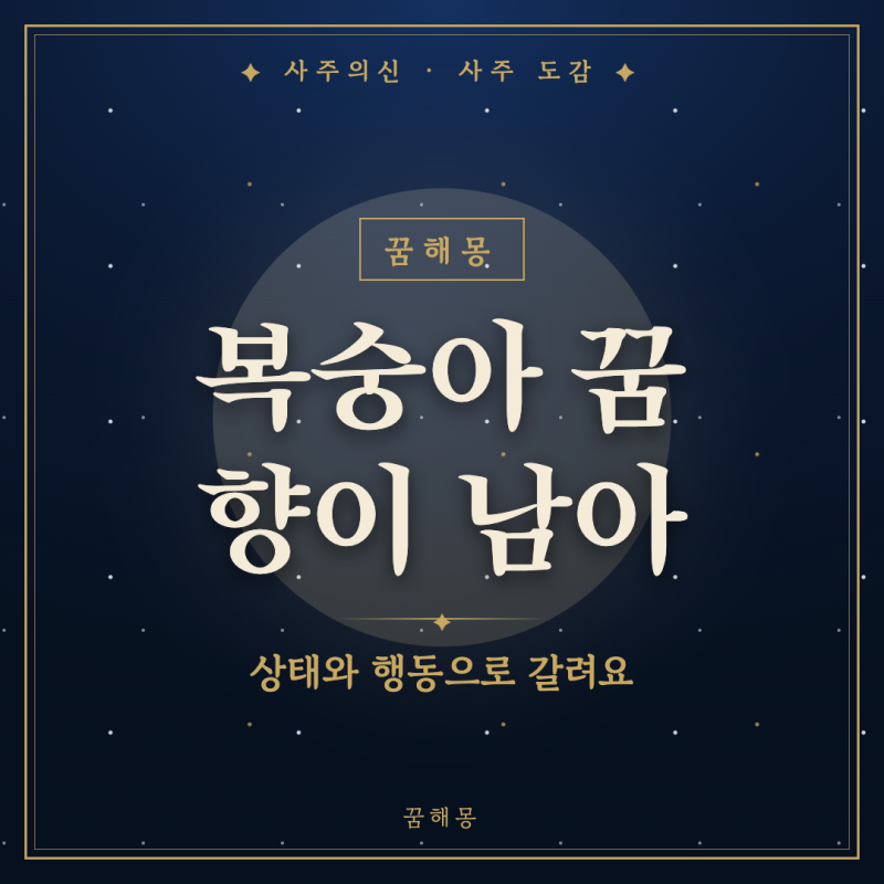 복숭아 꿈 해몽, 달큰한 향이 남은 아침에 찾아보는 장면별 뜻