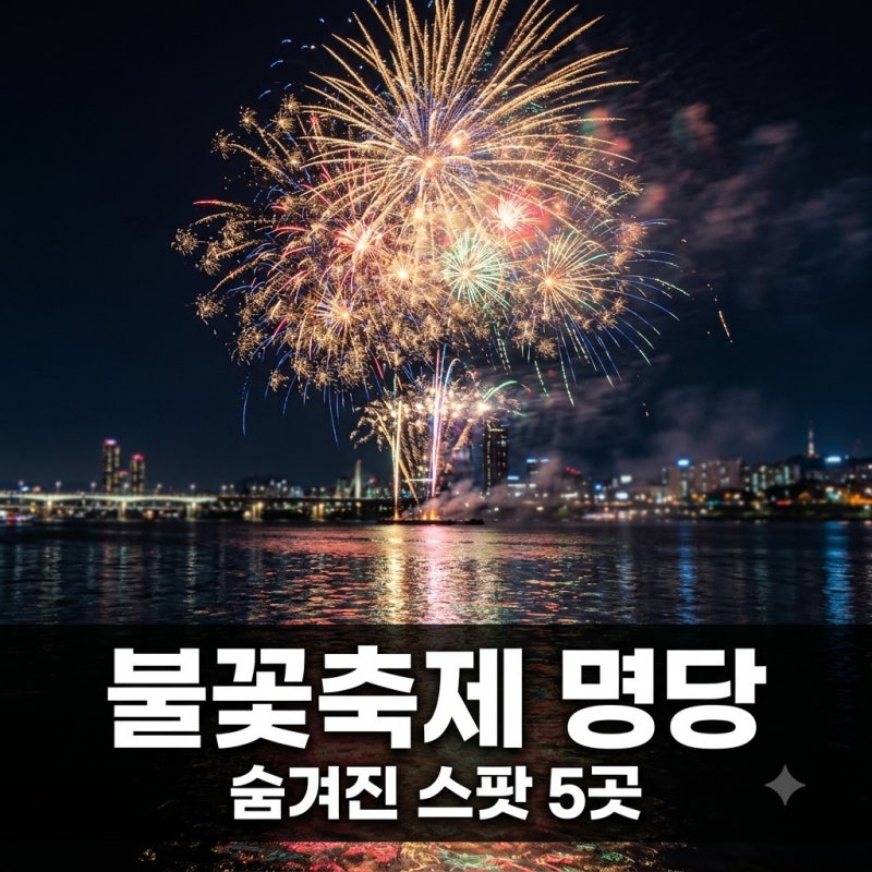 "명당은 따로 있었다?".. 2026 여의도불꽃축제장소, 나만 알고 싶은 숨은 포인트 5
