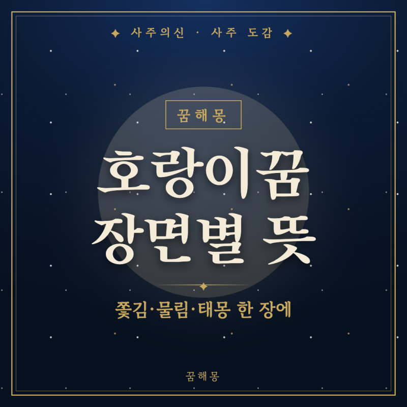 호랑이꿈 해몽, 눈이 마주친 그 장면부터 물린 자리와 태몽까지