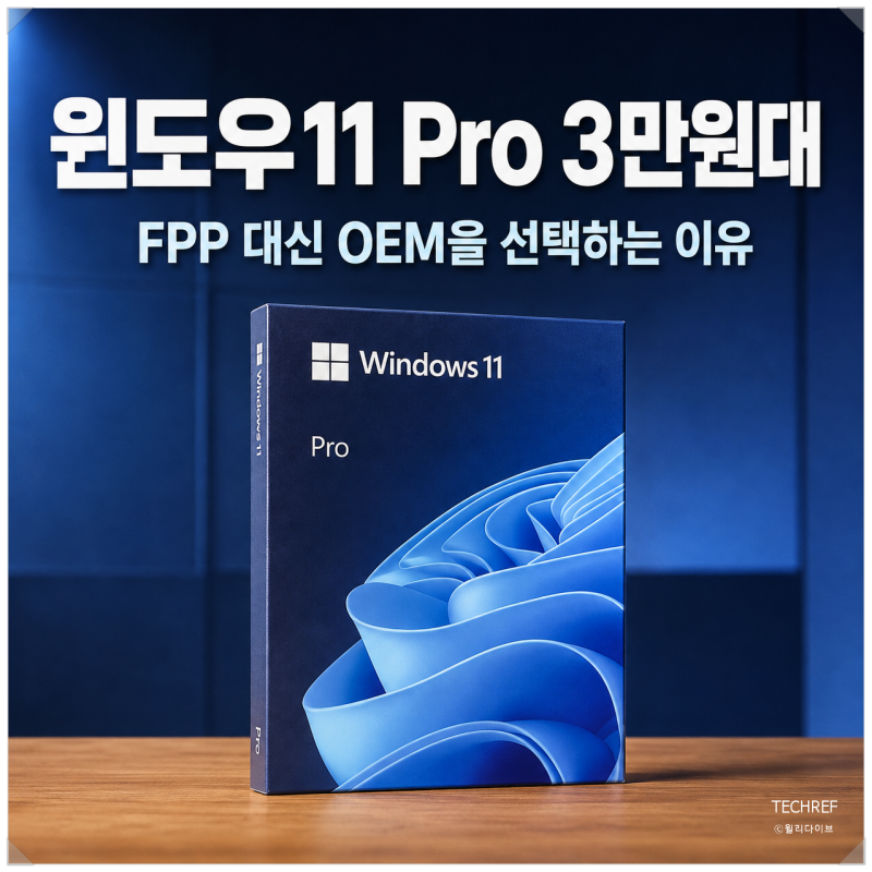 윈도우11 Pro 시디키 3만원대, FPP 대신 OEM을 선택하는 이유