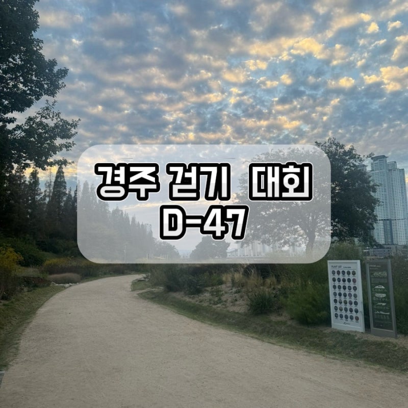 경주 165리 걷기 준비, 오늘도 태화강을 걷는다. (D-47)