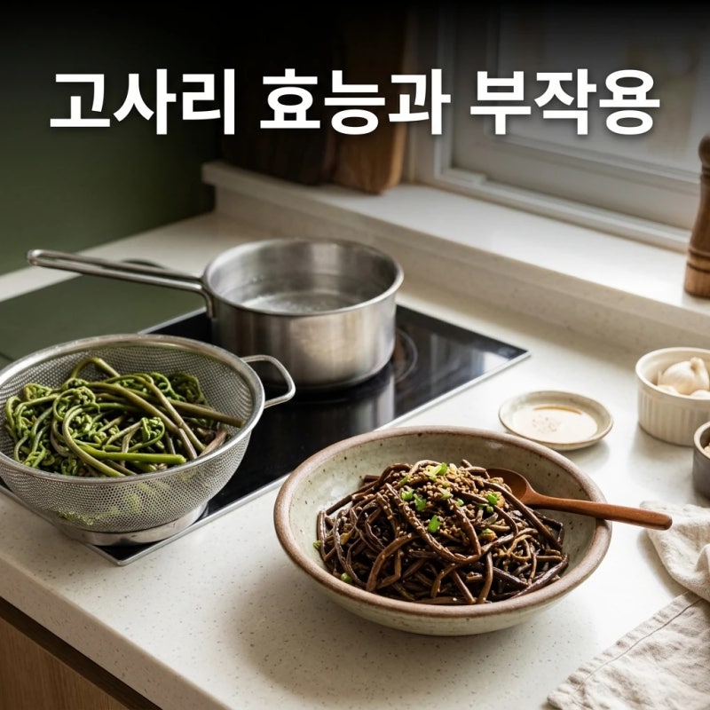 고사리 효능과 부작용, 삶는법부터 다릅니다
