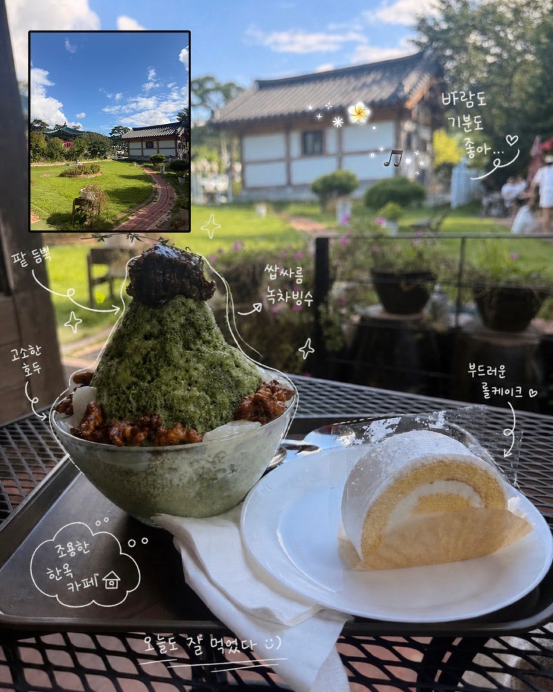 용인 모현 애견동반 카페 앨리스포레｜강아지랑 가기 좋은 분위기 좋은 카페