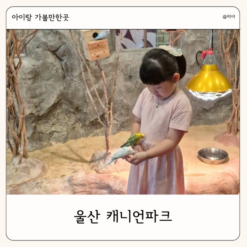 울산 실내 아이랑 가볼만한 곳 캐니언파크 실내동물원 놀이기구 후기
