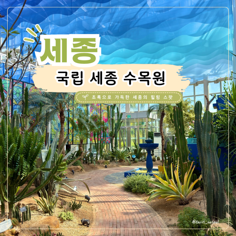 부모님 모시고 국립세종수목원 눈이 즐거웠던 온실 나들이