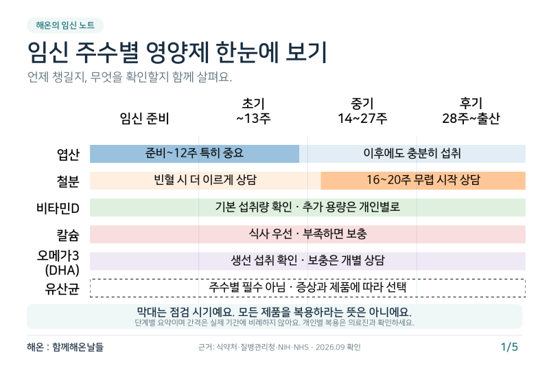 임산부 영양제, 임신 주수별로 무작정 늘리기 전 먼저 본 4가지