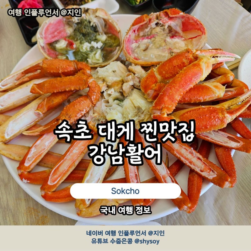 속초 대게 맛집 추천 애견동반 가능 식당 강남활어 홍게도 대박