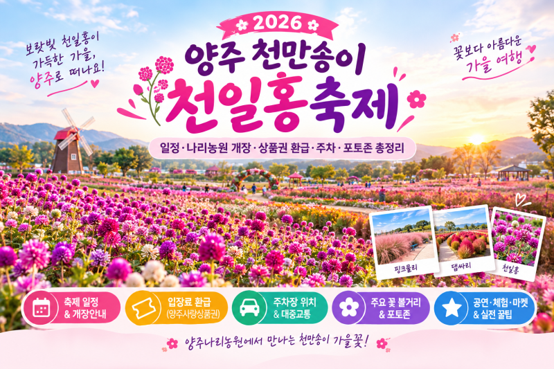 2026 양주 천일홍축제 일정·나리농원 개장·상품권 환급·주차·포토존 총정리 2026년 9월 18일(....