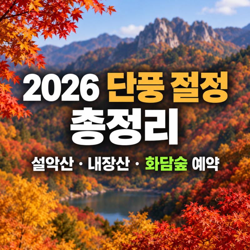 2026 단풍 절정 시기 총정리: 설악산·내장산 일정 및 화담숲 예약 가이드