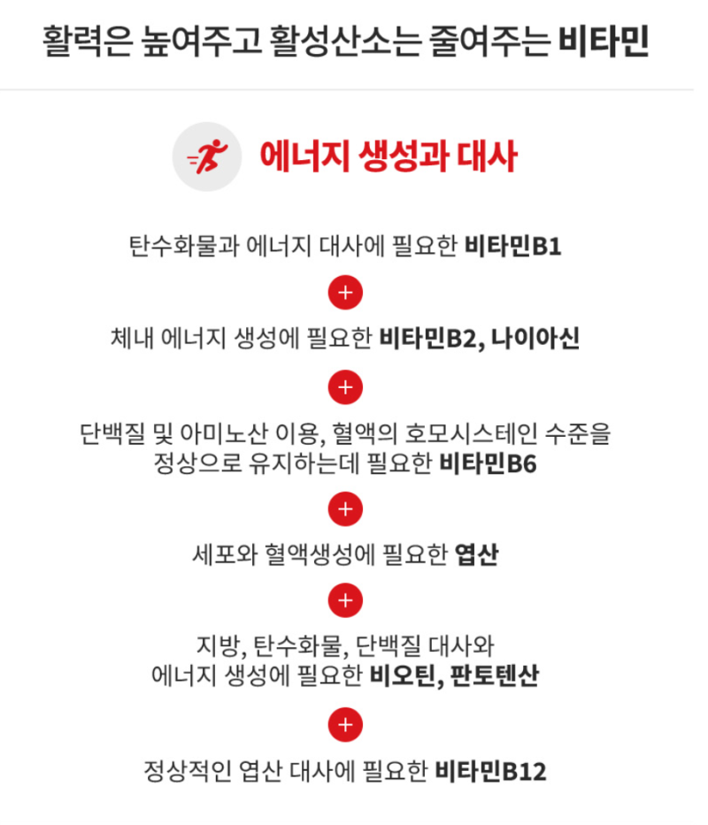 피트라인 액티바이즈 효능 성분｜비타민B군 복합체 영양제 천연 카페인 과라나 알아보기